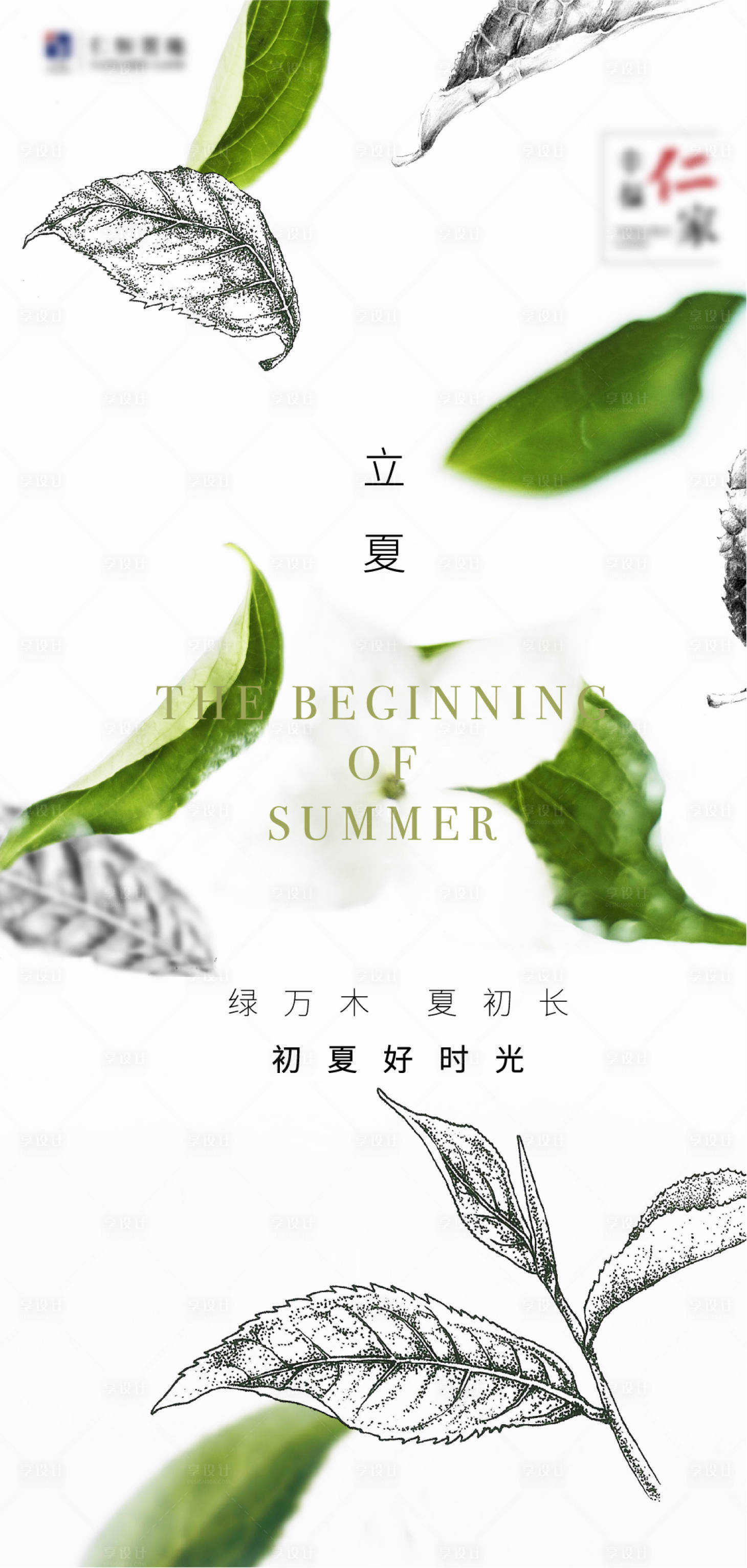 源文件下载【享设计】搜索编号：56150014676989968【立夏节气海报】