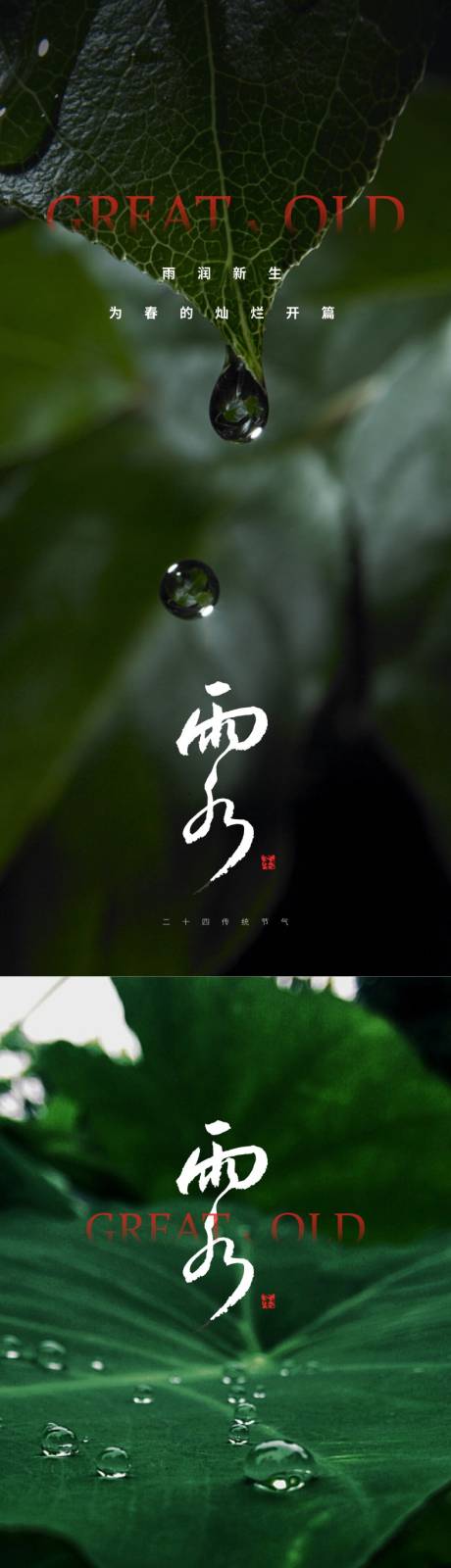 源文件下载【雨水海报】编号：86590014649638265