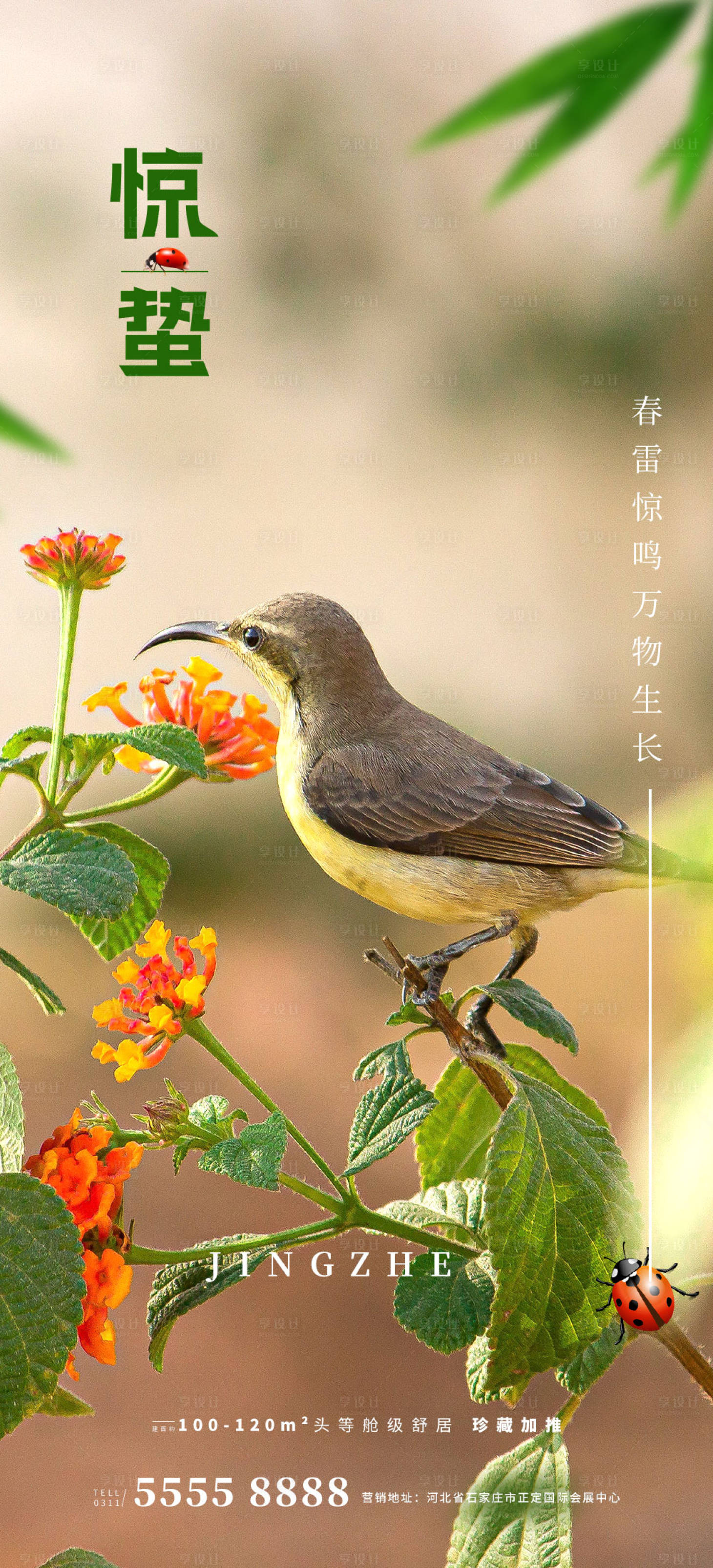 源文件下載【享設計】搜索編號：40540014859338525【驚蟄節氣海報】