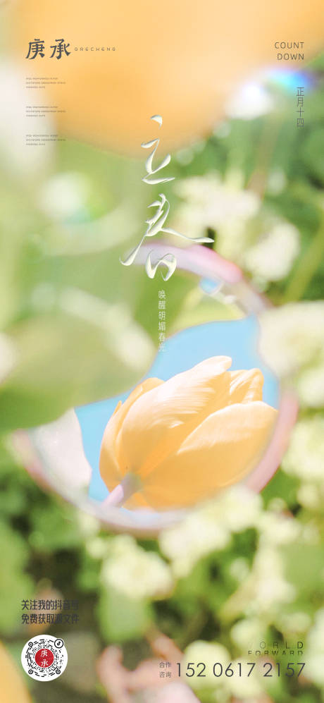 源文件下载【立春花卉海报】编号：90160014444895312