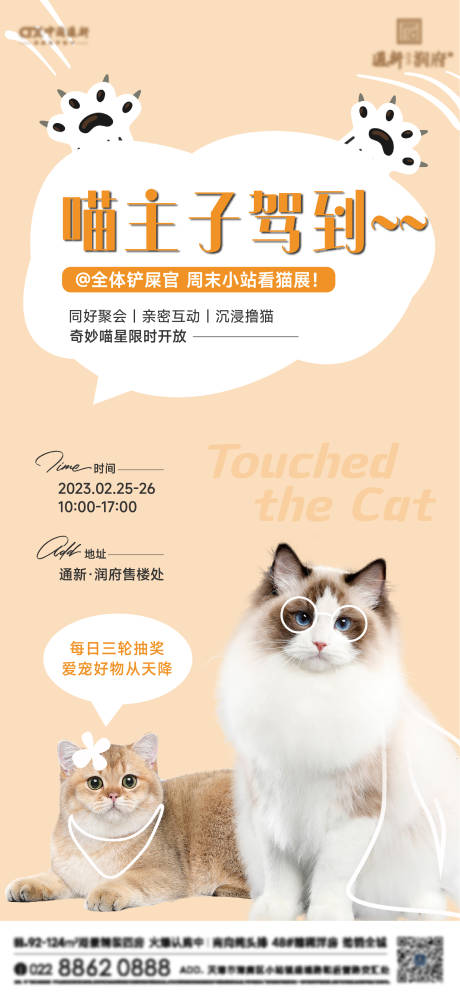 源文件下载【猫咪活动海报】编号：92230014968539587