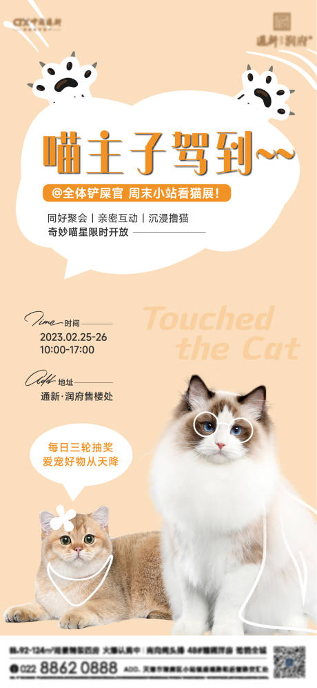 编号：20230224220207724【享设计】源文件下载-猫咪活动海报