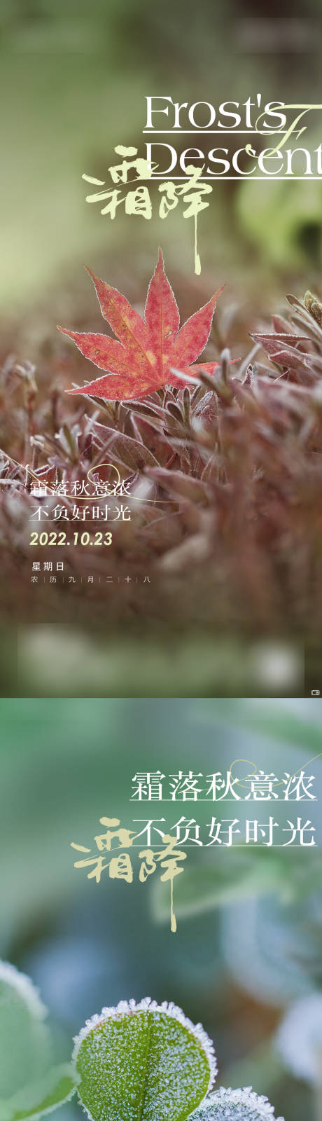 源文件下载【霜降节气海报】编号：69300014785222359