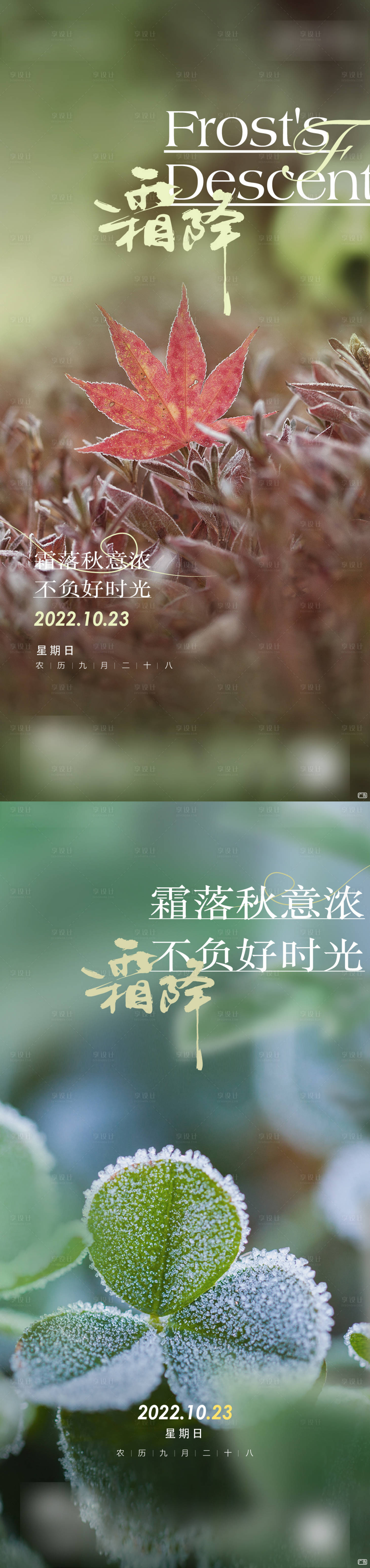源文件下载【享设计】搜索编号：69300014785222359【霜降节气海报】