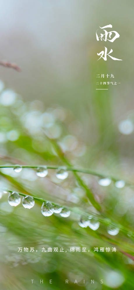源文件下载【雨水二十四节气清新露珠海报】编号：33890014777789557