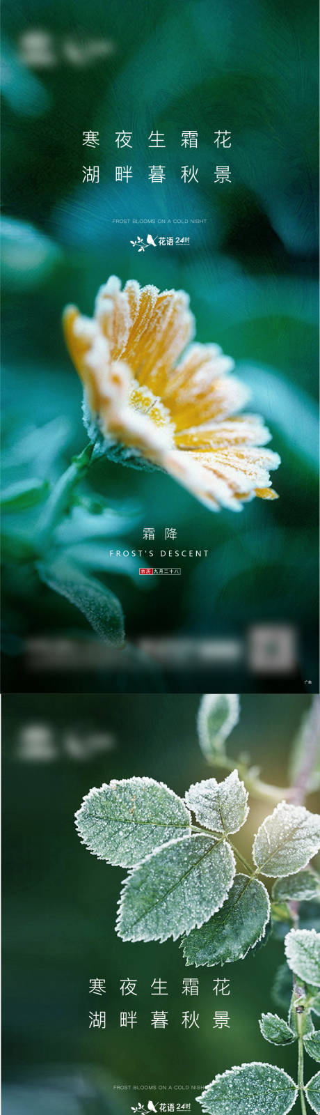 源文件下载【霜降节气海报】编号：70560014895972442