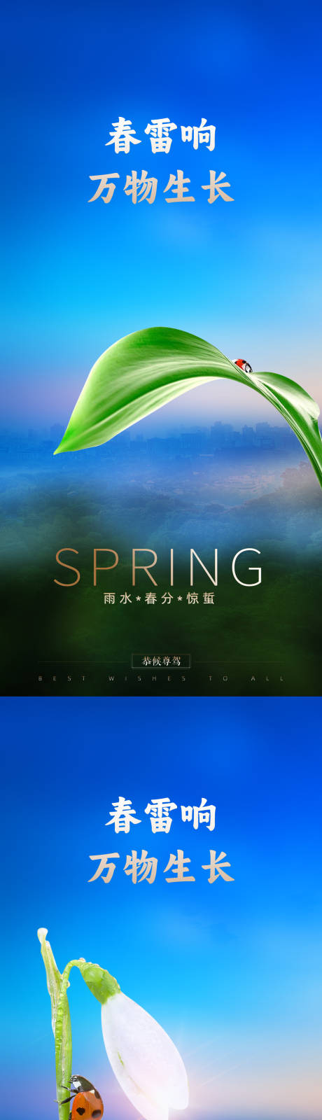 春分惊蛰雨水节气海报-源文件【享设计】