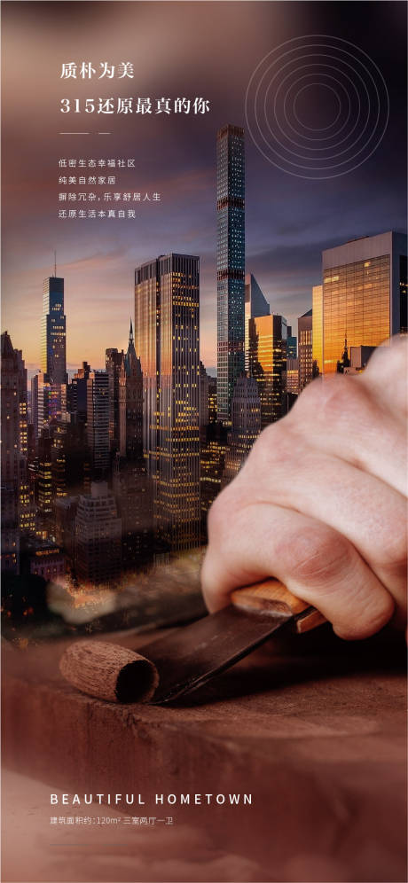 315地产海报