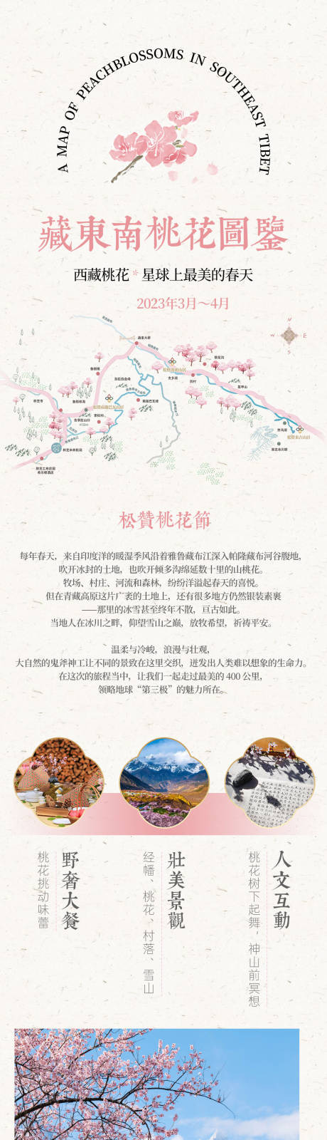 编号：20230209155123667【享设计】源文件下载-藏南桃花节图鉴长图海报