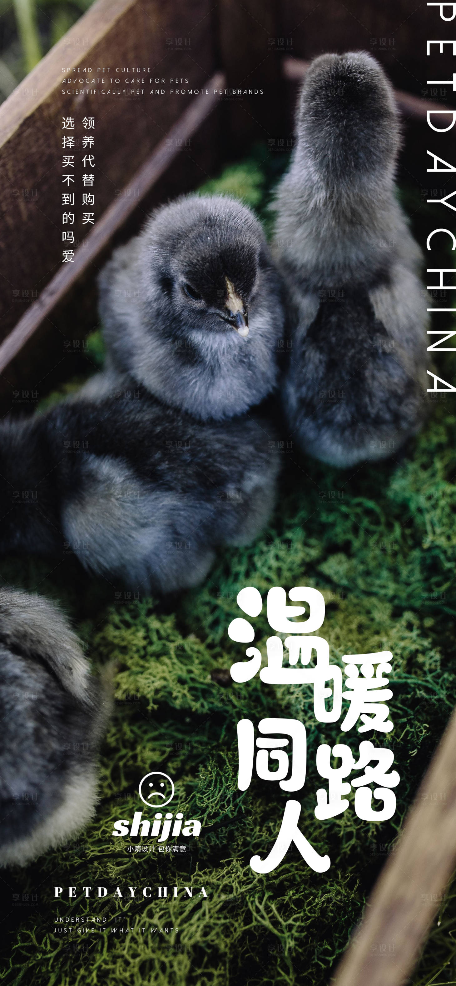 源文件下载【宠物领养代替购买海报】编号：40960014484118360