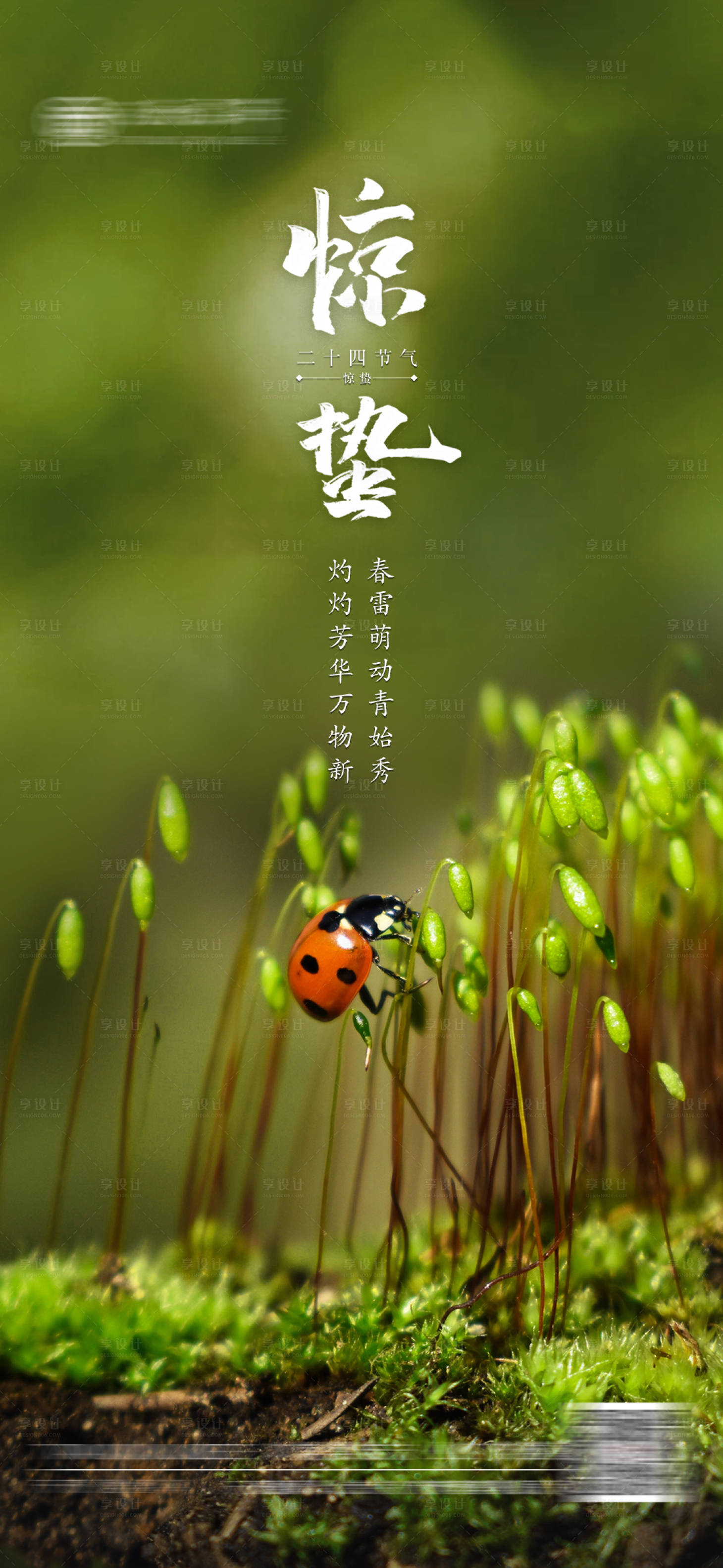 源文件下载【惊蛰节气海报】编号：77010014722731713