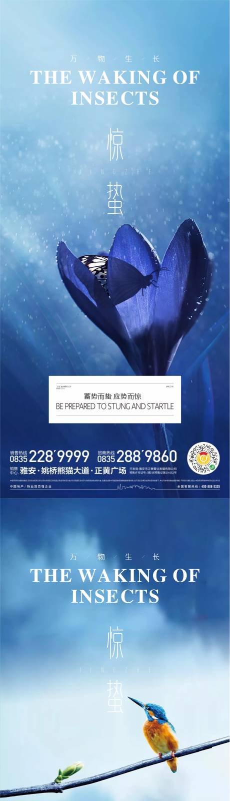源文件下载【惊蛰节气系列海报】编号：91240015072949591