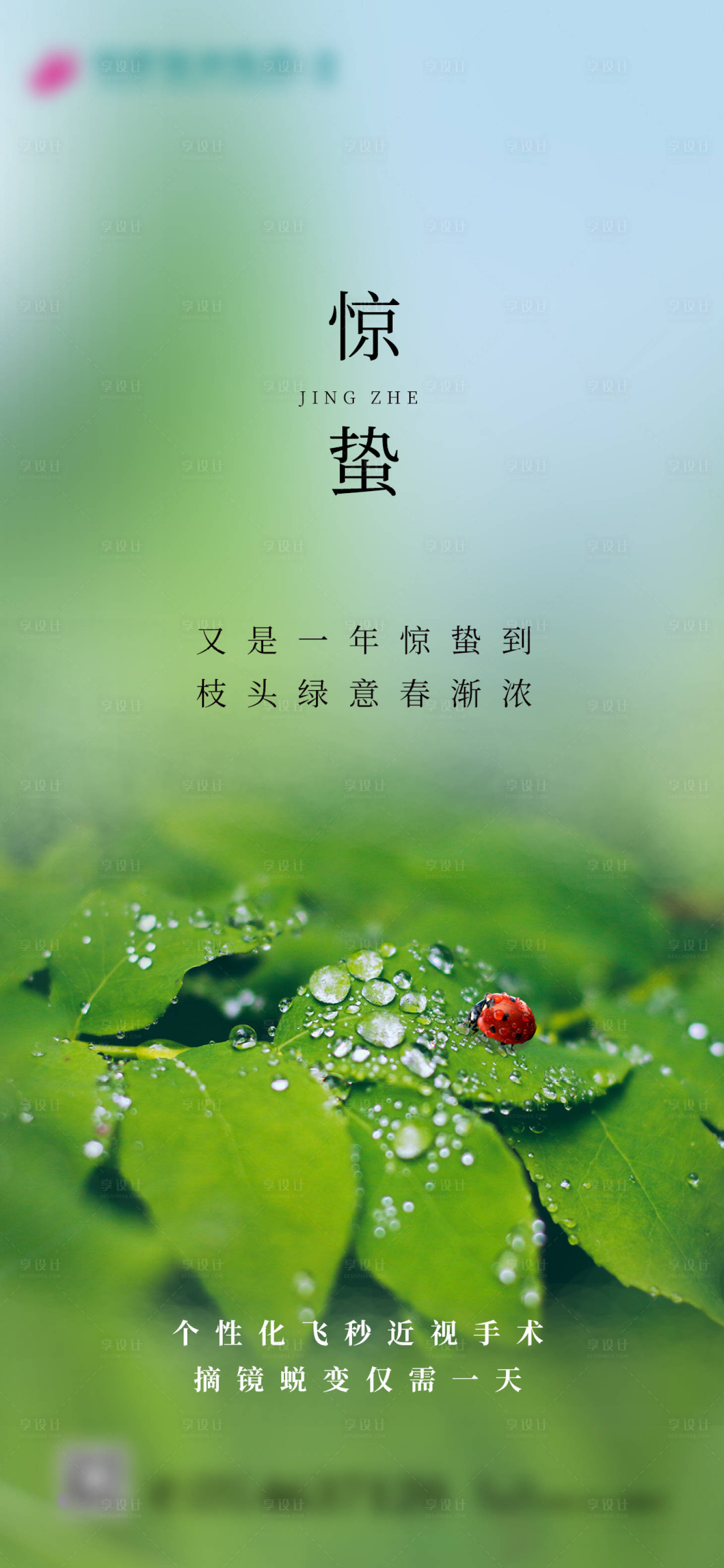 源文件下载【惊蛰海报】编号：93320015222607331