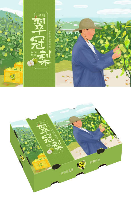源文件下载【翠冠梨手绘插画水果包装盒】编号：58940015679075331