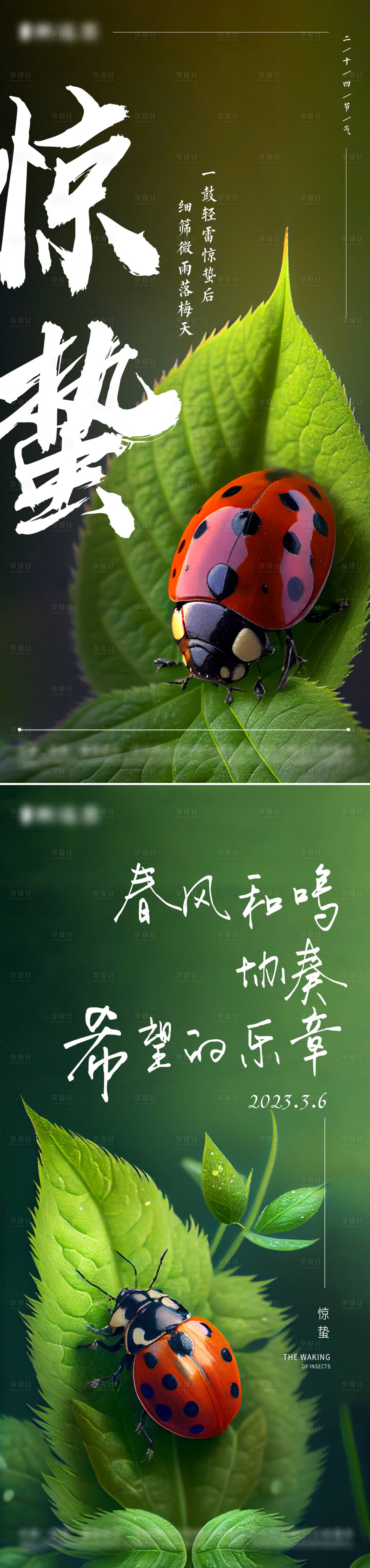 源文件下載【享設(shè)計(jì)】搜索編號(hào)：83980015224604503【驚蟄節(jié)氣海報(bào)】