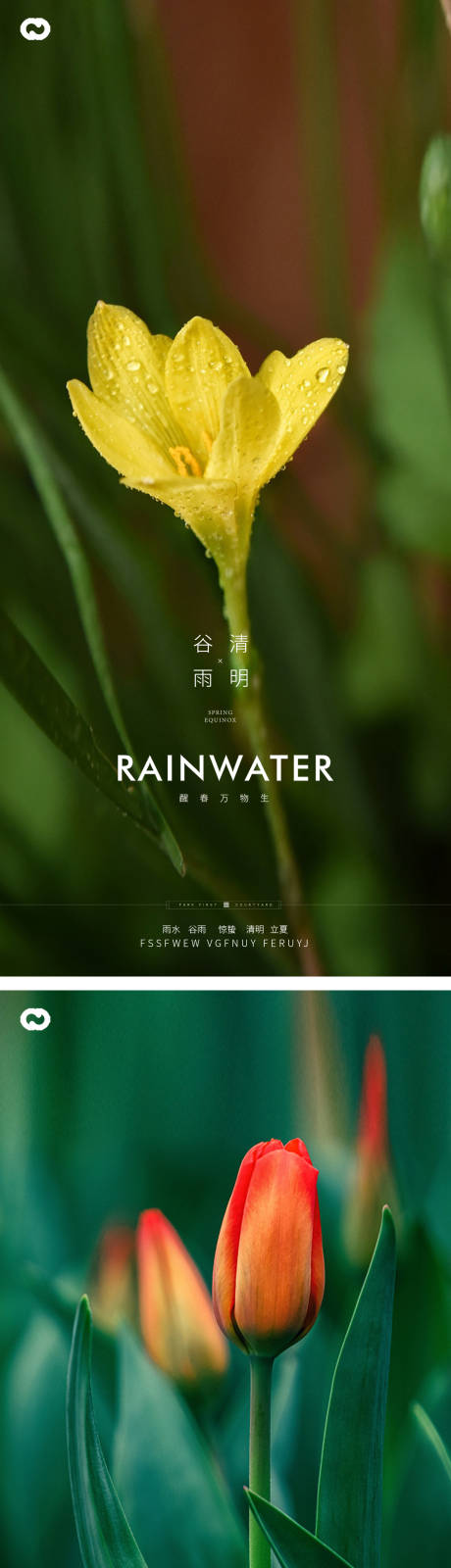 编号：20230301114740191【享设计】源文件下载-谷雨清明节气花卉海报