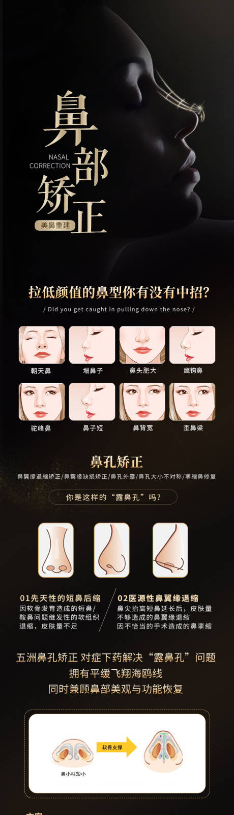 源文件下载【鼻部矫正】编号：26090015580342054