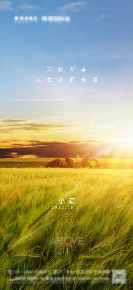 源文件下载【小满节气海报】编号：14630015341336991