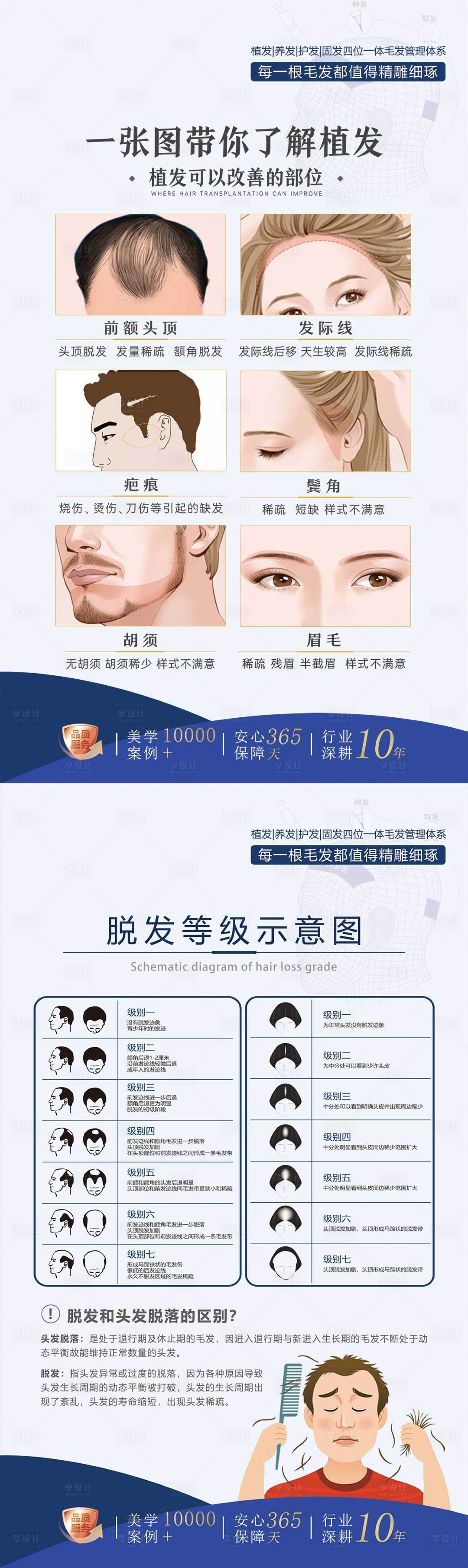 源文件下載【享設計】搜索編號：83470015587293189【植發科普海報】