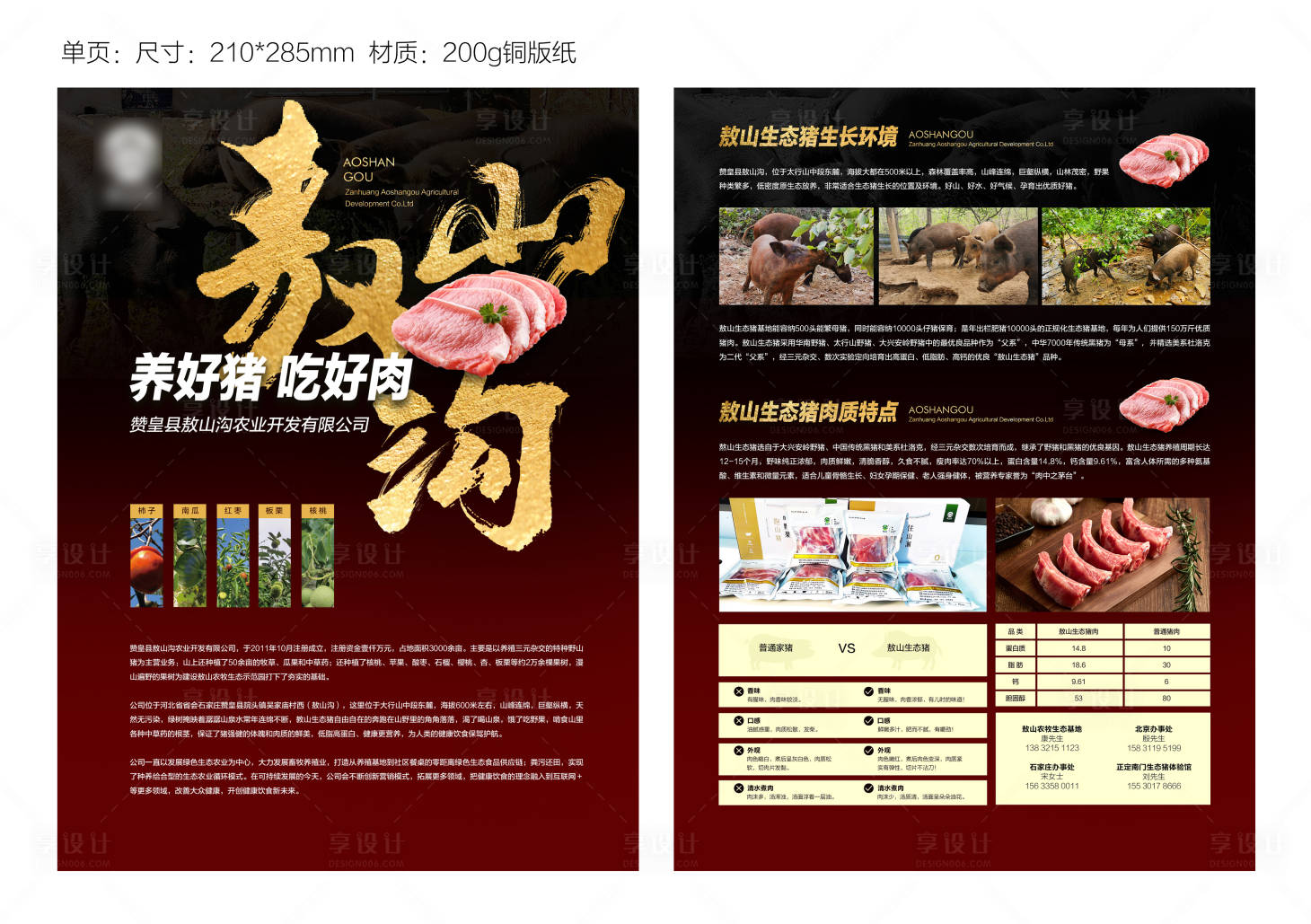 源文件下載【享設計】搜索編號：83400015752588583【生態黑豬肉單頁】