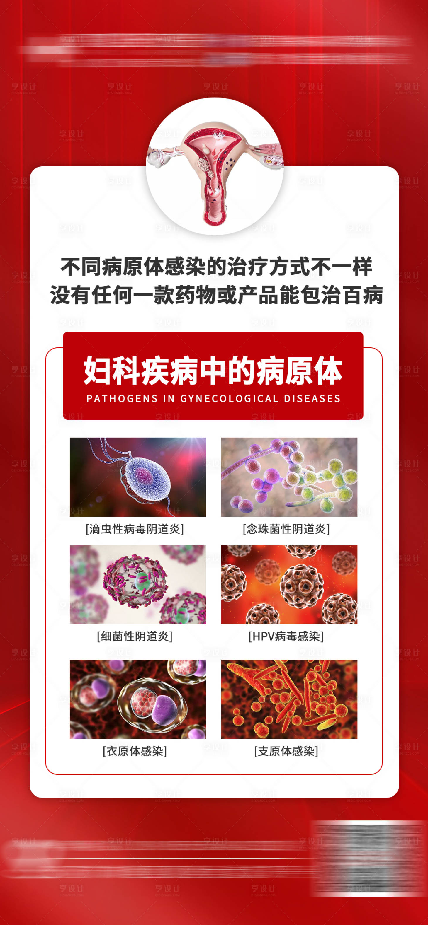 源文件下载【享设计】搜索编号：48160015374423100【妇科细胞科普】