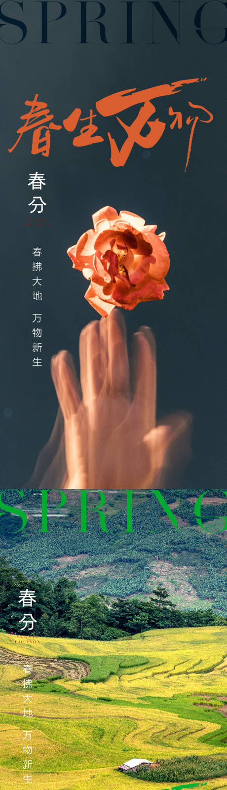 源文件下载【春分海报】编号：73280015435519327