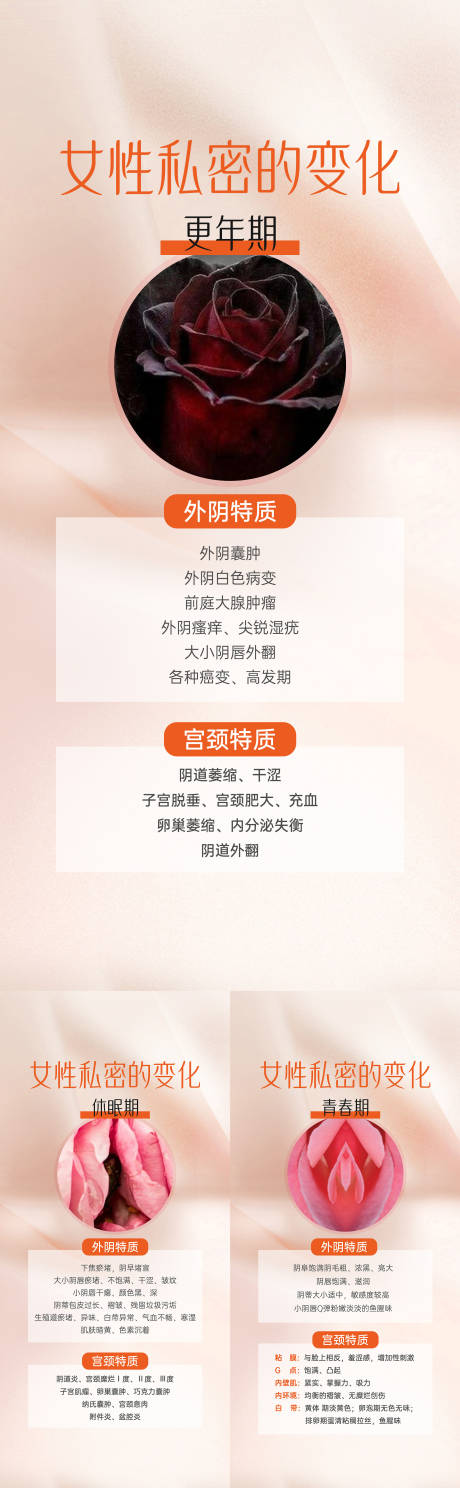 源文件下载【私密外阴科普系列】编号：62590015591999297