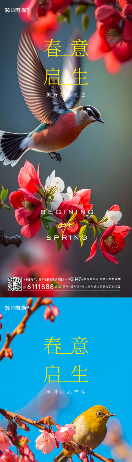 源文件下载【春分节气海报】编号：46460015368026998