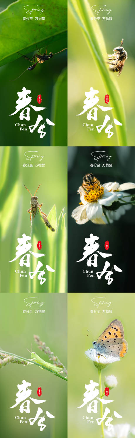 源文件下載【春分海報】編號：62420015427613466