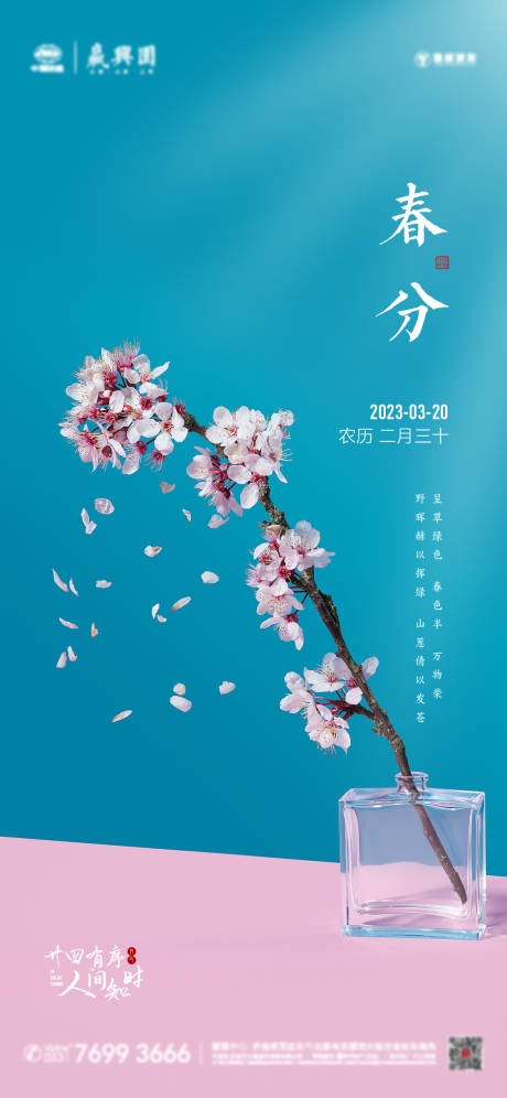 源文件下载【春分节气】编号：25700015314521774