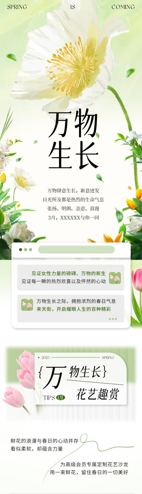 源文件下载【春日万物生长小清新长图】编号：92290015311401219