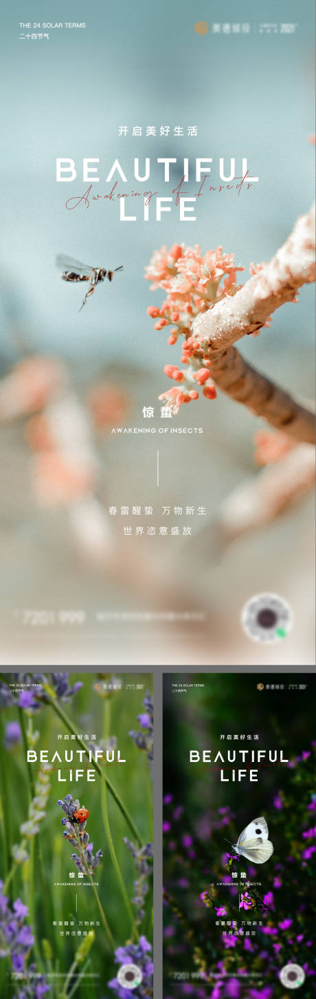 源文件下載【簡約大氣驚蟄系列海報】編號：81250015098928585
