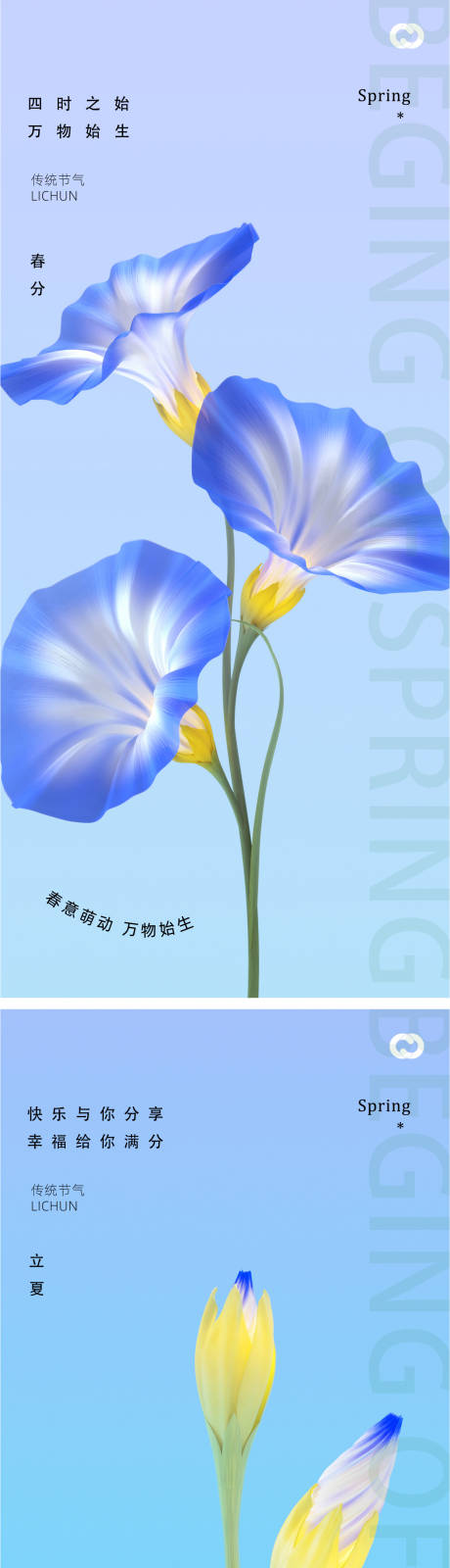 源文件下载【春分24节气喇叭花植物海报】编号：85080015290752104