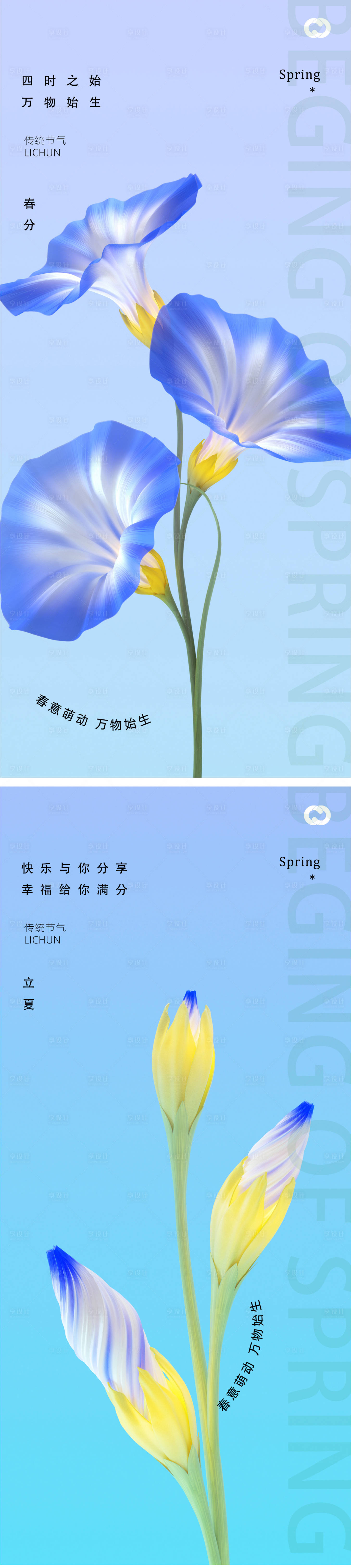 源文件下载【春分24节气喇叭花植物海报】编号：85080015290752104