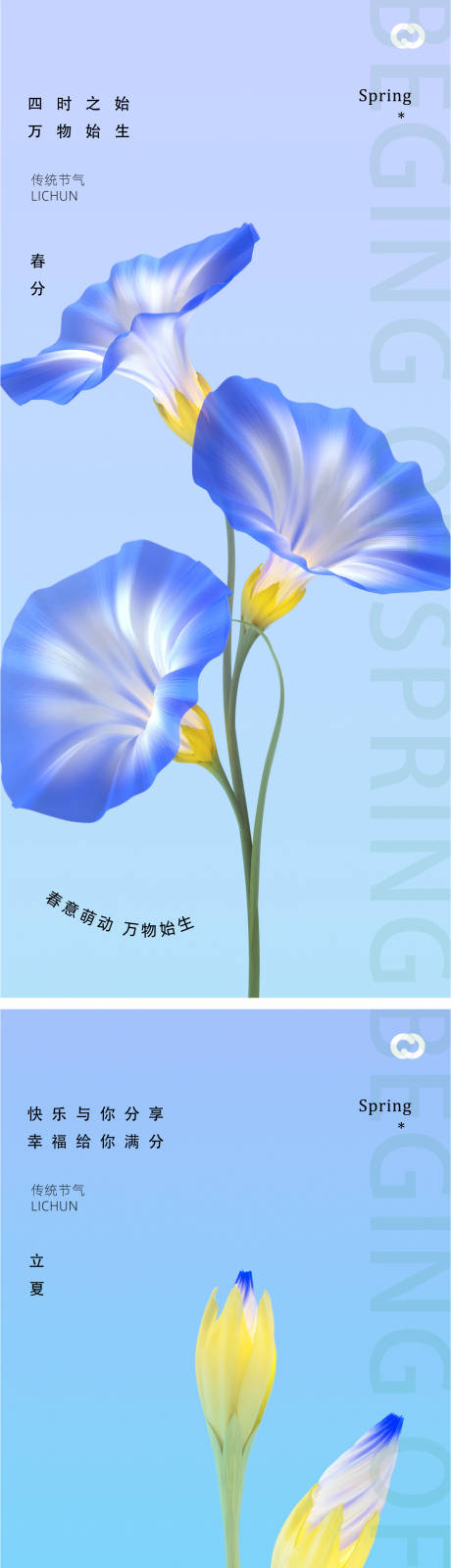 编号：20230311141359795【享设计】源文件下载-春分24节气喇叭花植物海报