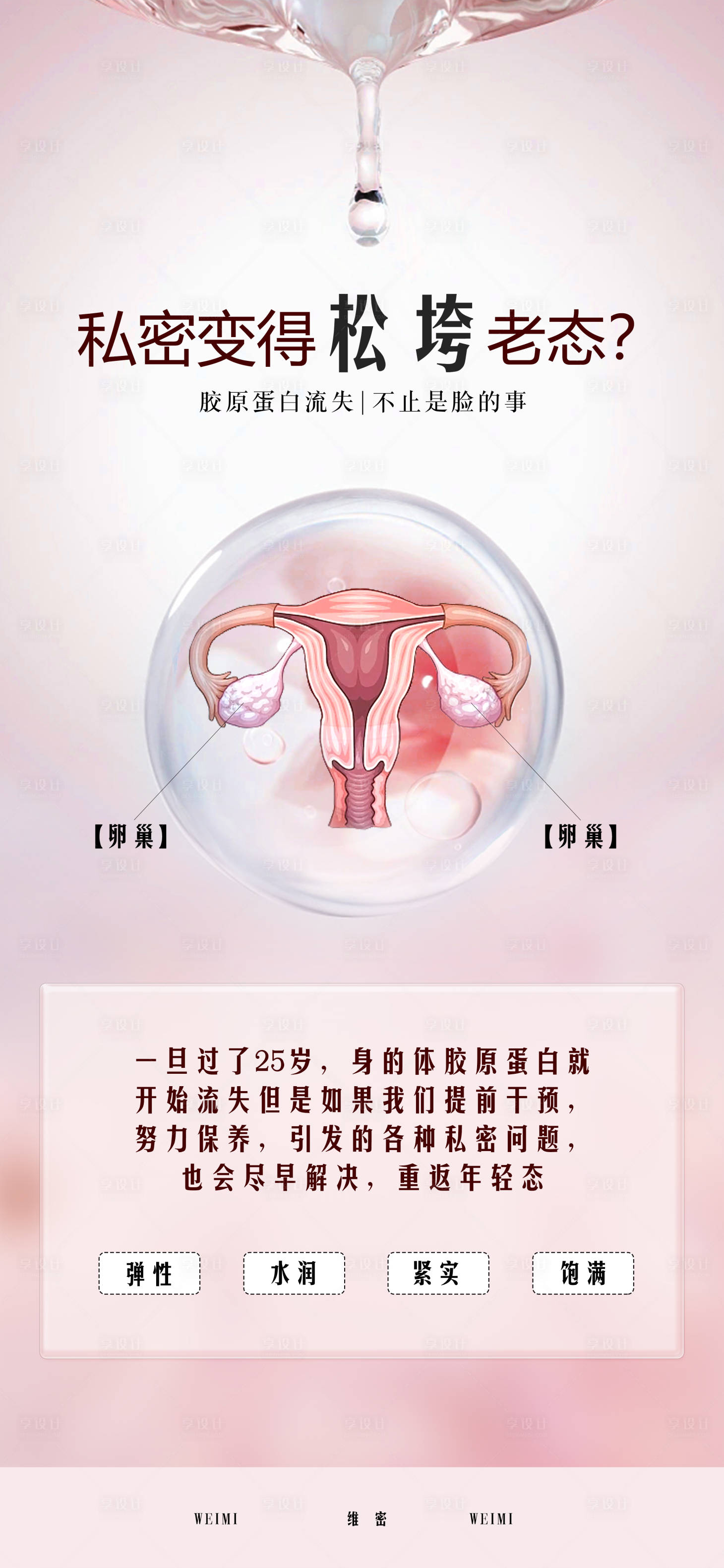 源文件下載【享設計】搜索編號：92760015534529426【私密科普宣傳海報】