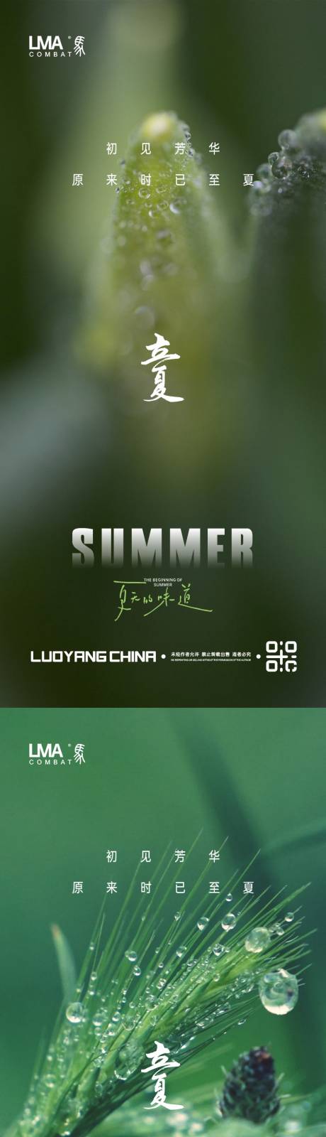 源文件下载【享设计】搜索编号：99110015462758717【立夏节气地产海报】