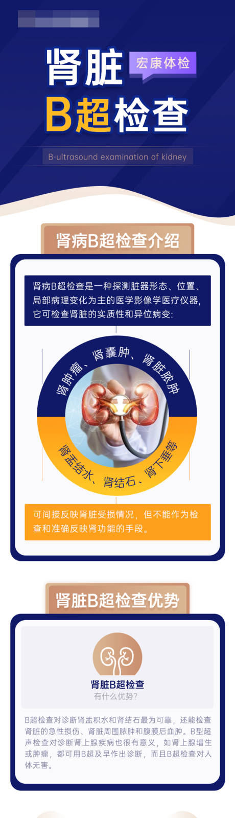 源文件下载【医疗外科体检肾脏B超检查专题】编号：30300015695641809
