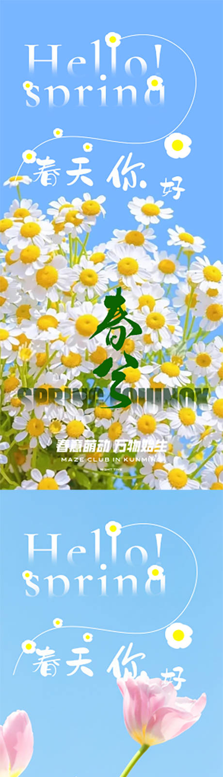 源文件下載【春分小雛菊海報】編號：70090015325869497