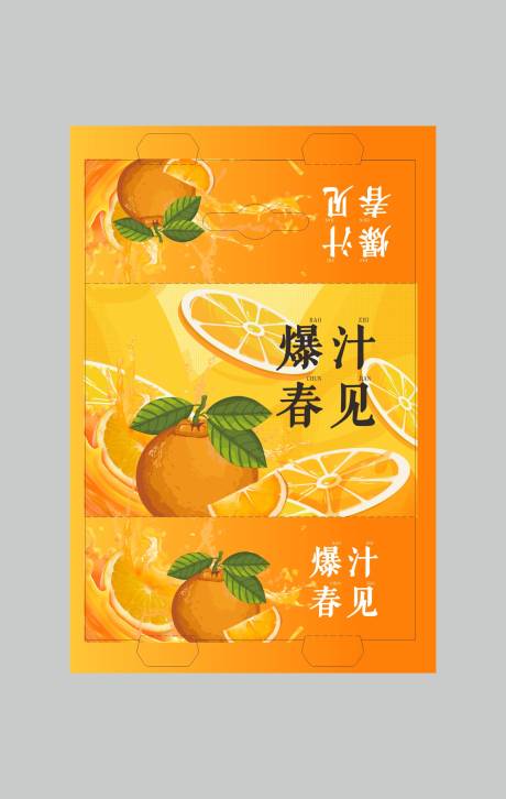 编号：20230331165520160【享设计】源文件下载-橙子包装设计