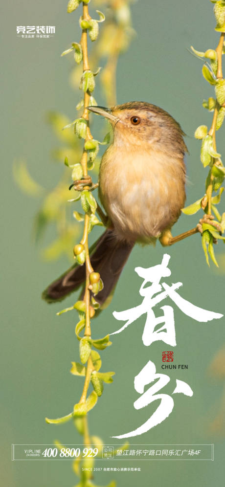 源文件下载【春分节气海报】编号：36260015395743357