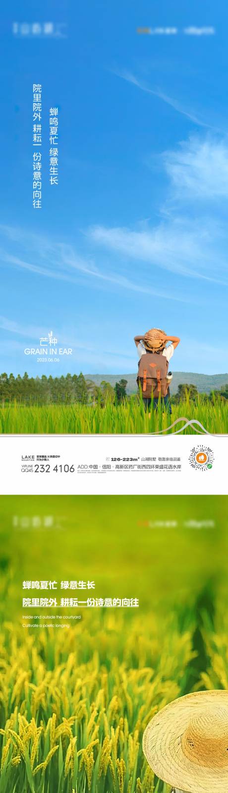 源文件下载【芒种海报】编号：87940015578779166