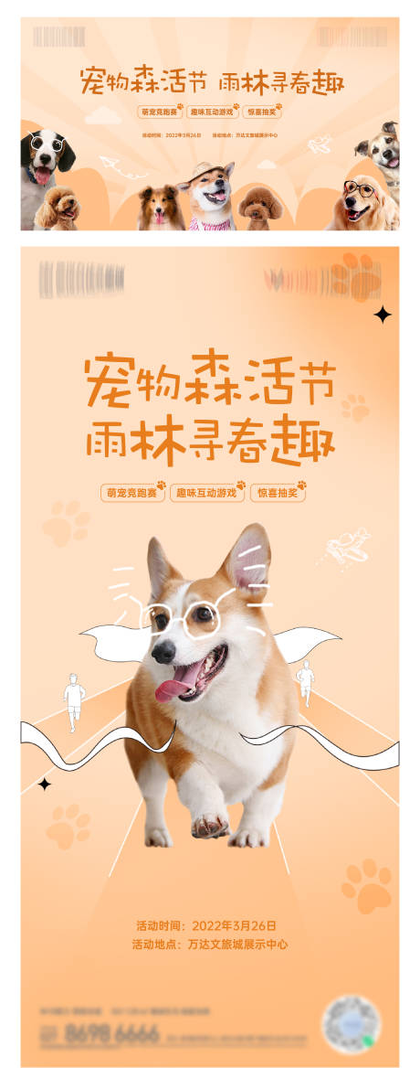 源文件下载【宠物活动画面】编号：65870015542607848