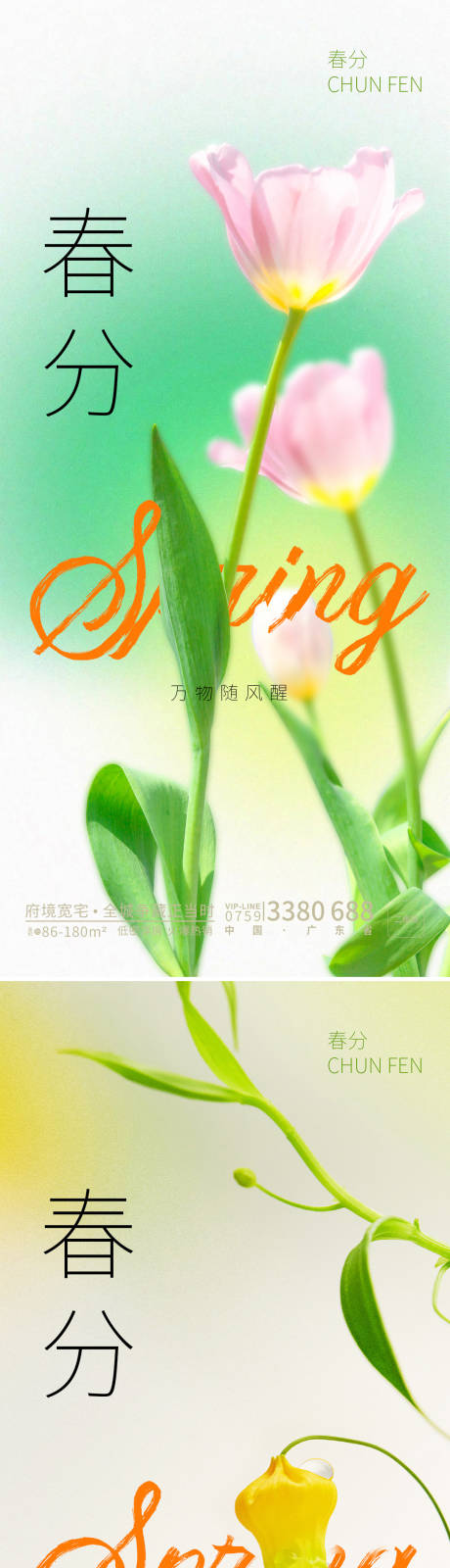 编号：20230309205054929【享设计】源文件下载-春分春天花朵海报