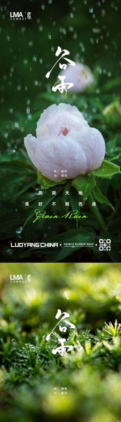 源文件下载【地产谷雨海报】编号：70710015464921747