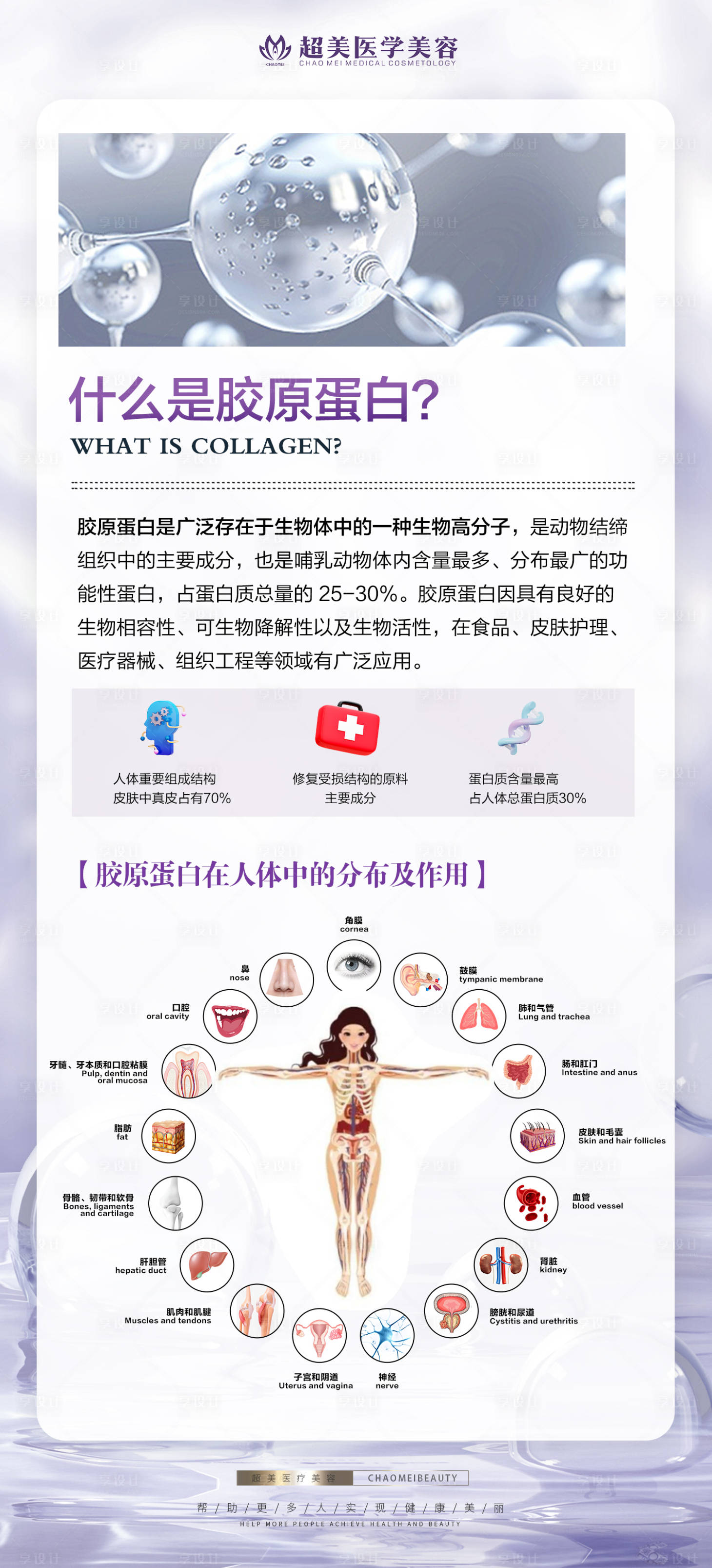 源文件下载【享设计】搜索编号：22120015343812164【胶原蛋白科普医美简约海报】