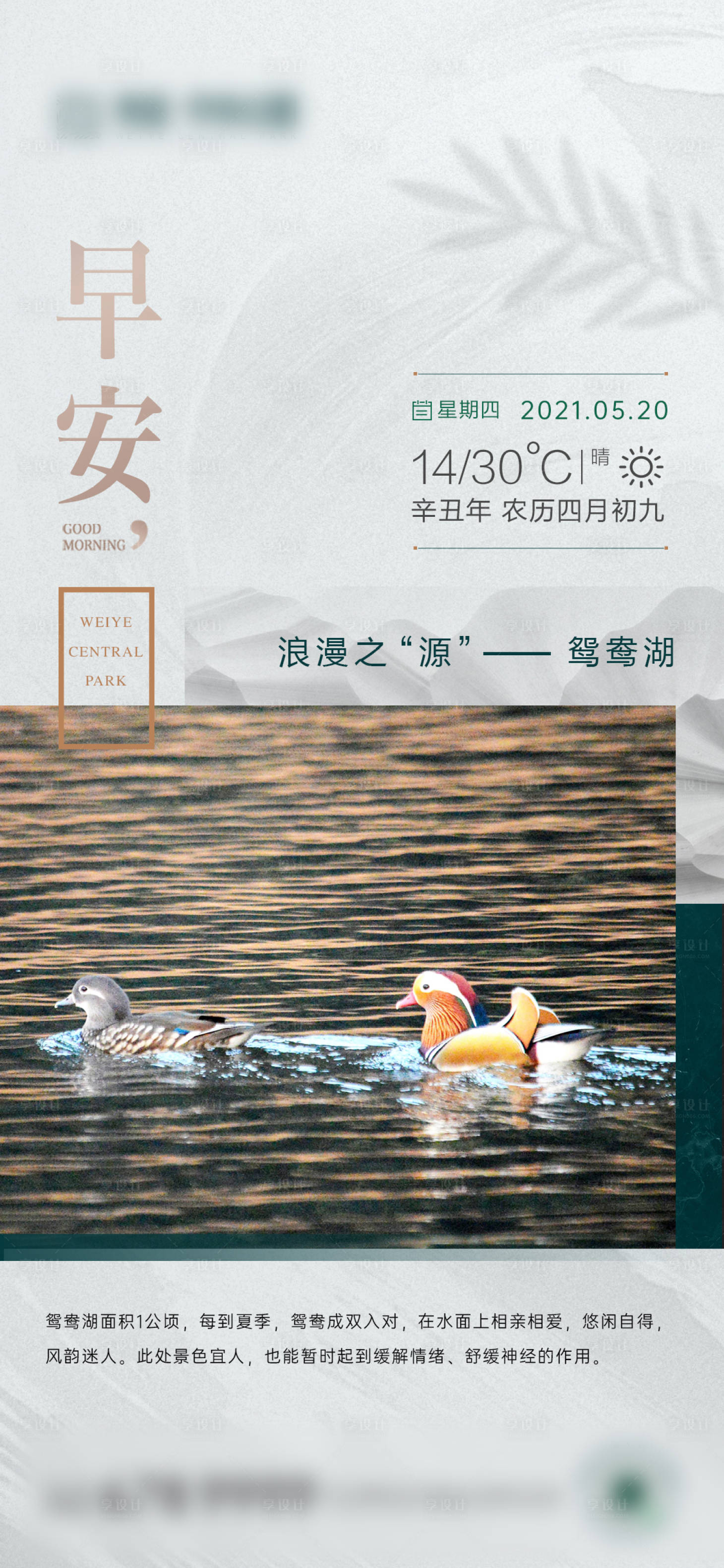 源文件下载【地产海报】编号：76150015321638484