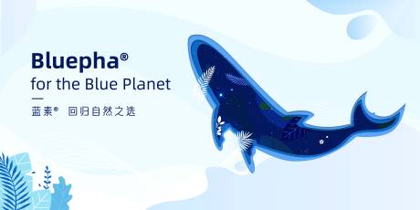 源文件下载【海洋鲸鱼展板】编号：24080015096023826