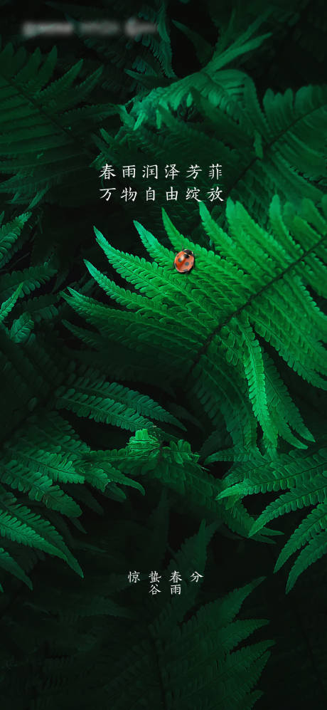 源文件下载【房地产惊蛰春分谷雨海报】编号：73450015068155596