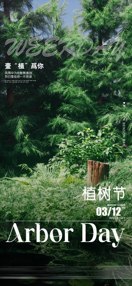 源文件下载【酒吧植树节】编号：78210015304802776